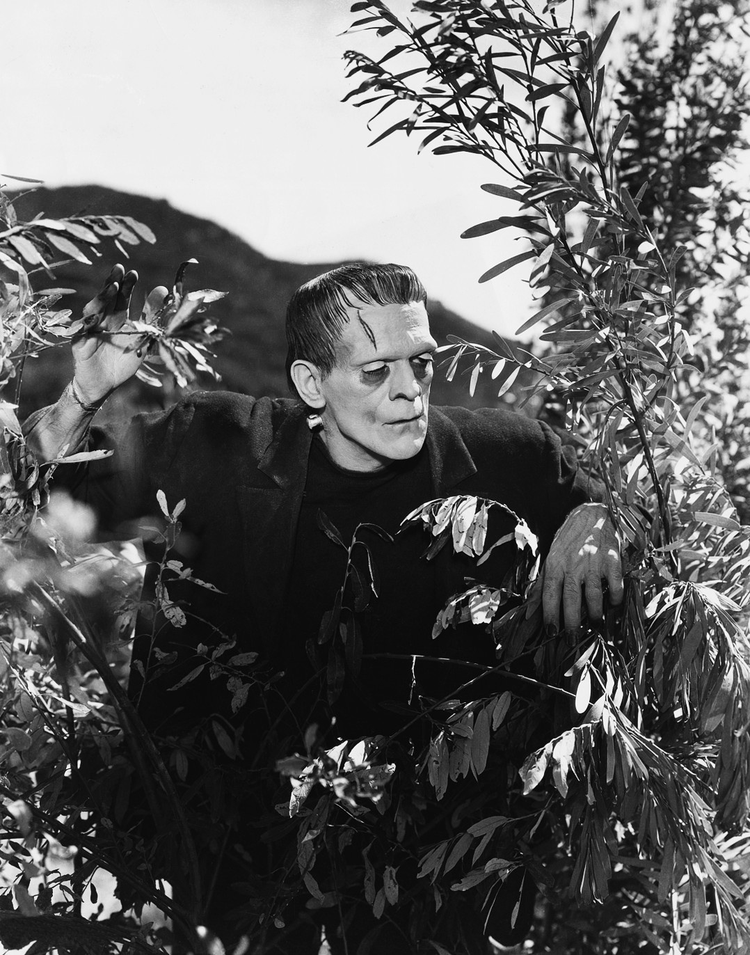 Frankenstein